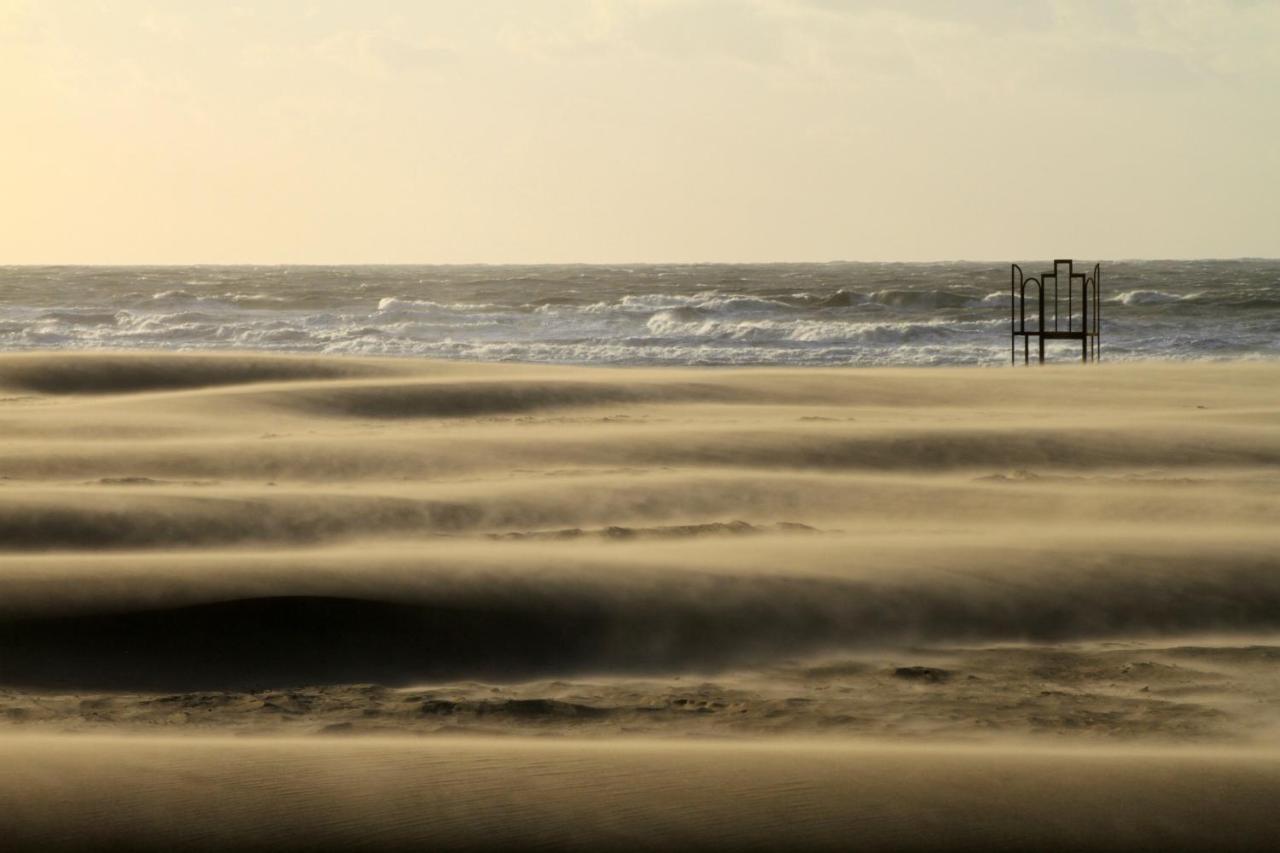 Villa Les Paquerettes Oostende Bagian luar foto